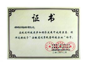 安徽省優(yōu)秀民營科技企業(yè)